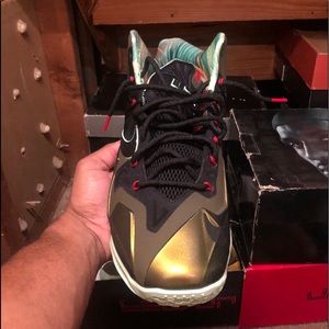 Lebron 11 “Kings Pride”